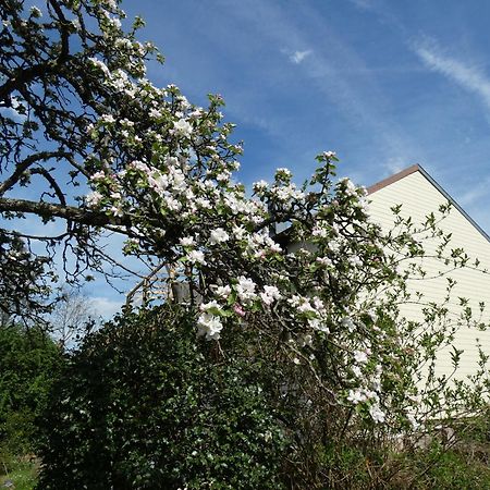 Taintrux Au Val Des Meuris Bed & Breakfast エクステリア 写真