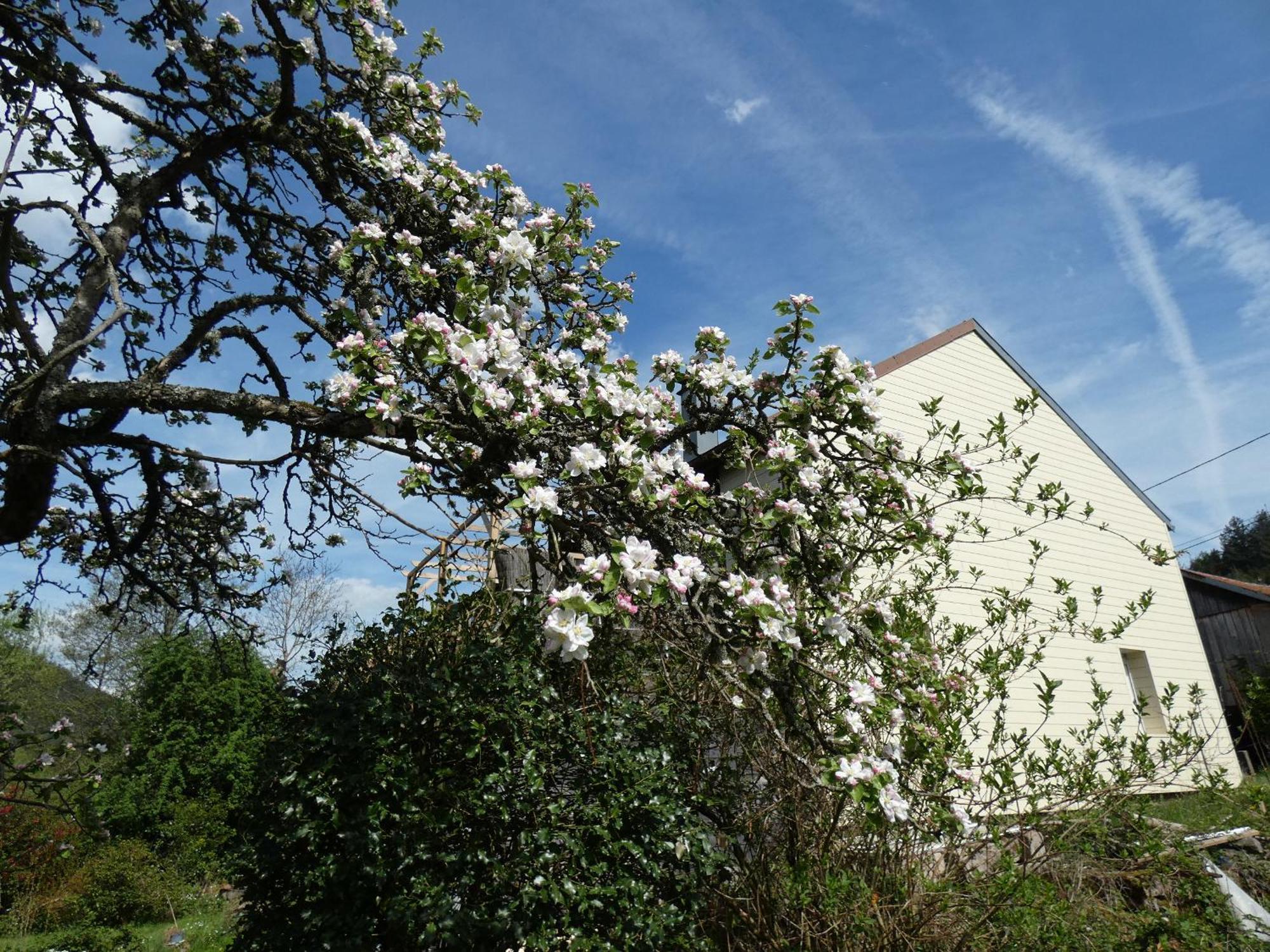 Taintrux Au Val Des Meuris Bed & Breakfast エクステリア 写真
